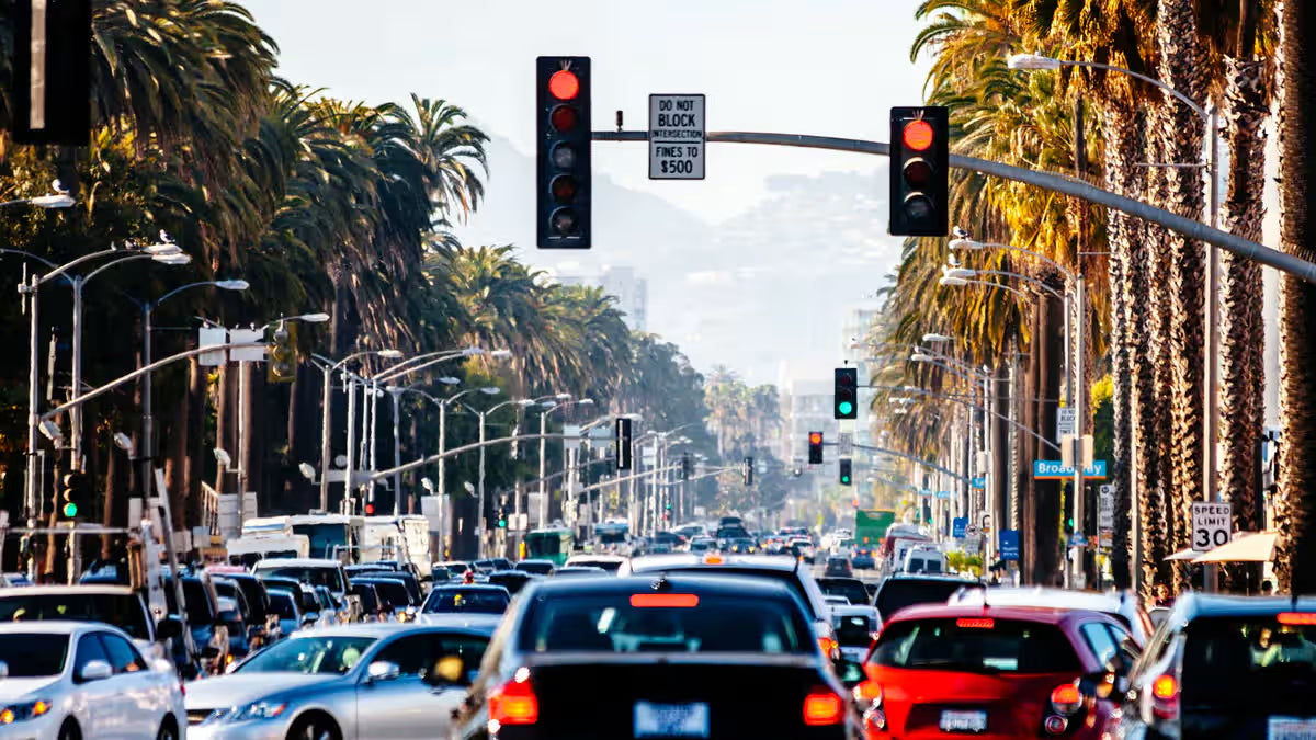 Busy palm-lined city street filled with cars